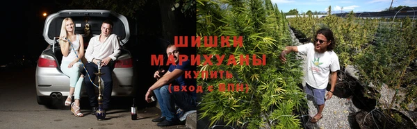 соль курить ск Лагань