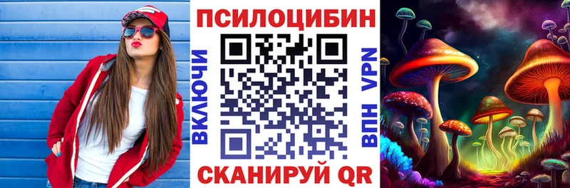Галлюциногенные грибы Psilocybine cubensis Новосибирск